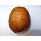 Картофель посадочный, среднеспелый сорт Рая в сетке 3 кг