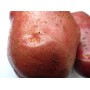 Картофель, среднеспелый сорт Роко в сетке 3 кг