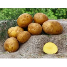 Картофель, среднеспелый сорт Белмонда  в сетке 3 кг